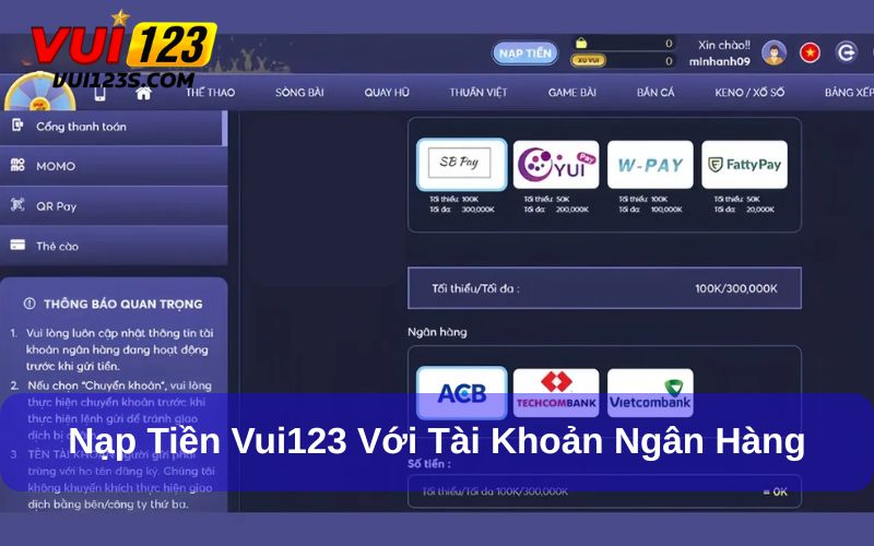 Nạp & Rút Tiền Vui123 - Hướng Dẫn Cơ Bản Cho Người Mới Sử dụng thẻ ngân hàng trong việc nạp tiền Vui123