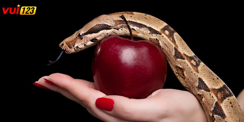 Mơ thấy rắn đánh con gì? Giải mã giấc mơ lô đề cực chuẩn Giấc mơ thấy rắn quấn cảnh báo về những mối quan hệ phức tạp trong tình cảm và công việc